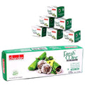 Chandan Fresh Mint Pan Mouth freshner -72gms