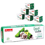 Chandan Fresh Mint Pan Mouth freshner -72gms