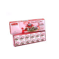 Chandan Fresh Mint rose Pan Mouth freshner -72gms
